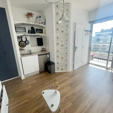 Studio Avec Piscine Et Tennis Avec Vue Sur Lyon Appartement *